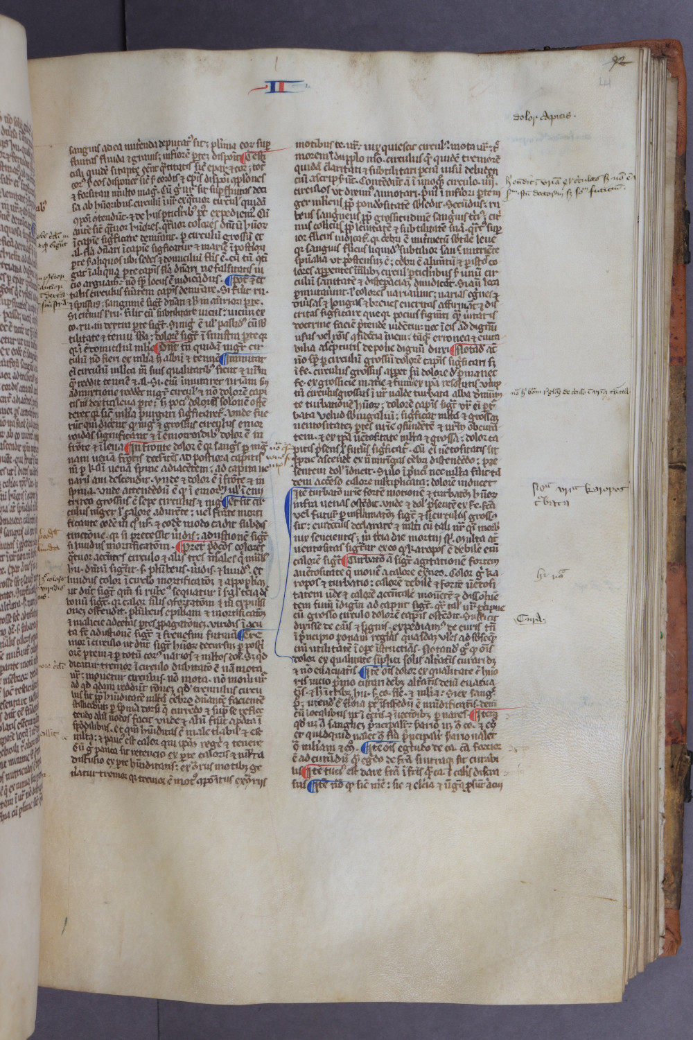 Folio 41 recto